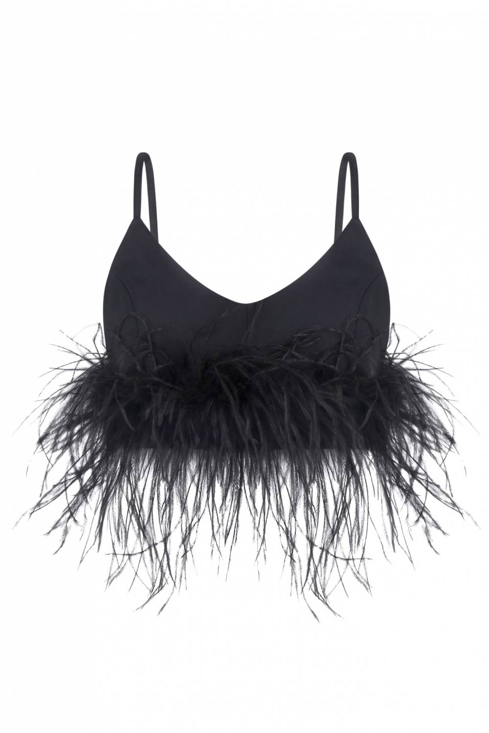 top with feathers 2